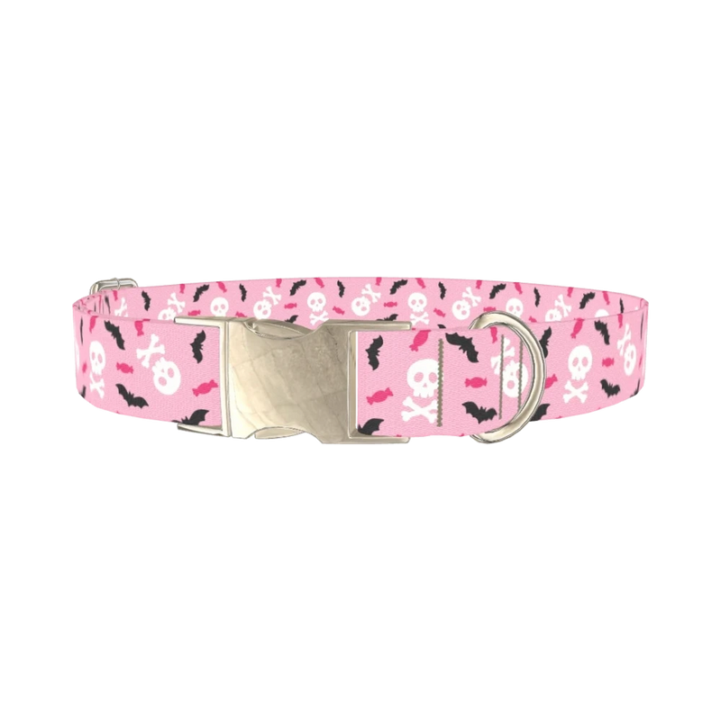 Halloween Skulls and Bats Dog Collar - metal silver