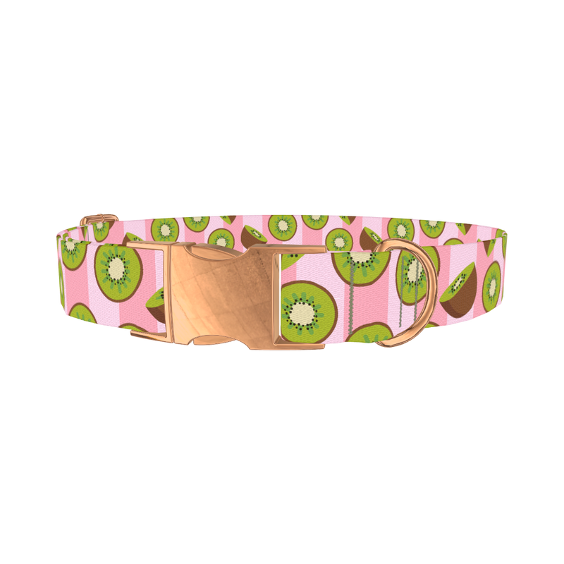 Pink Kiwi Pattern Dog Collar - metal rose gold