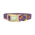 Halloween Witchy Pumpkin Dog Collar - plastic gold