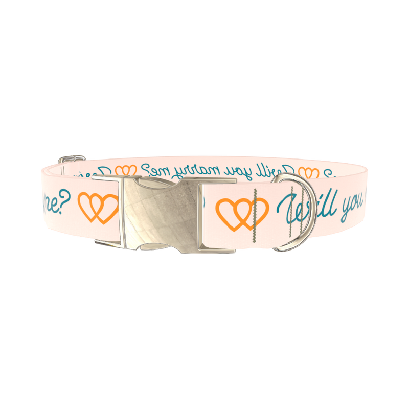 Phrase Heart Dog Collar - metal gold