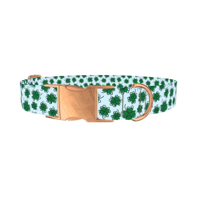 Blue Clover Pattern Dog Collar - metal rose gold