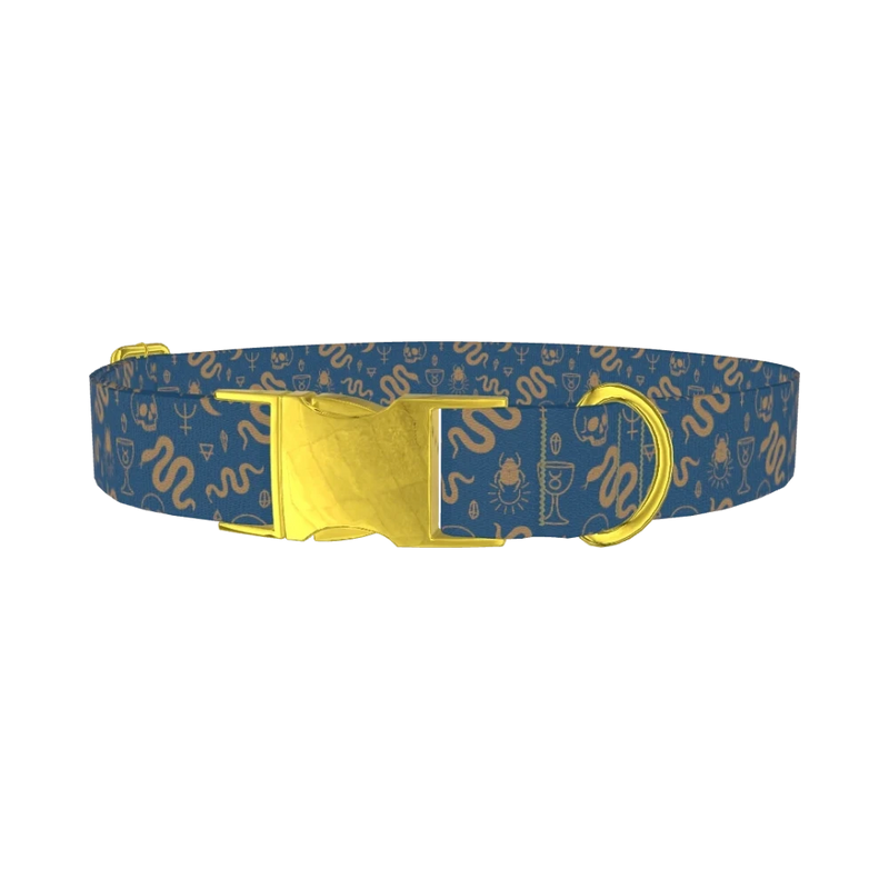 Halloween Snakes and Skulls Dog Collar - metal gold
