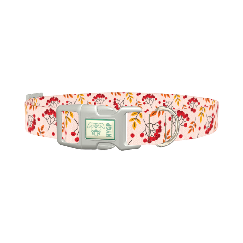 Autumn Rowanberry Dog Collar - plastic silver