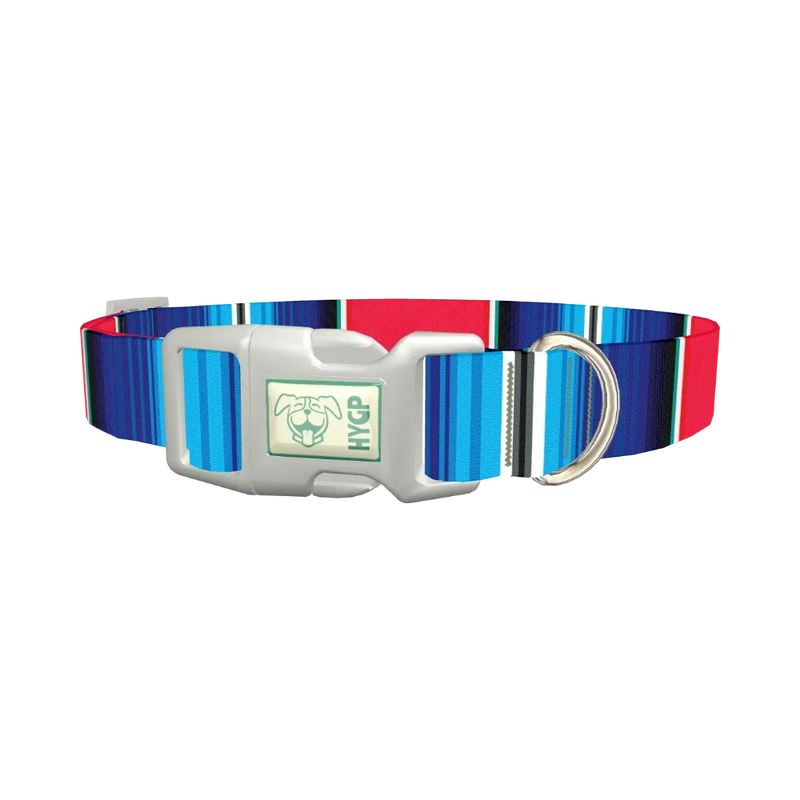 Vivid Stripe Dog Collar - plastic silver