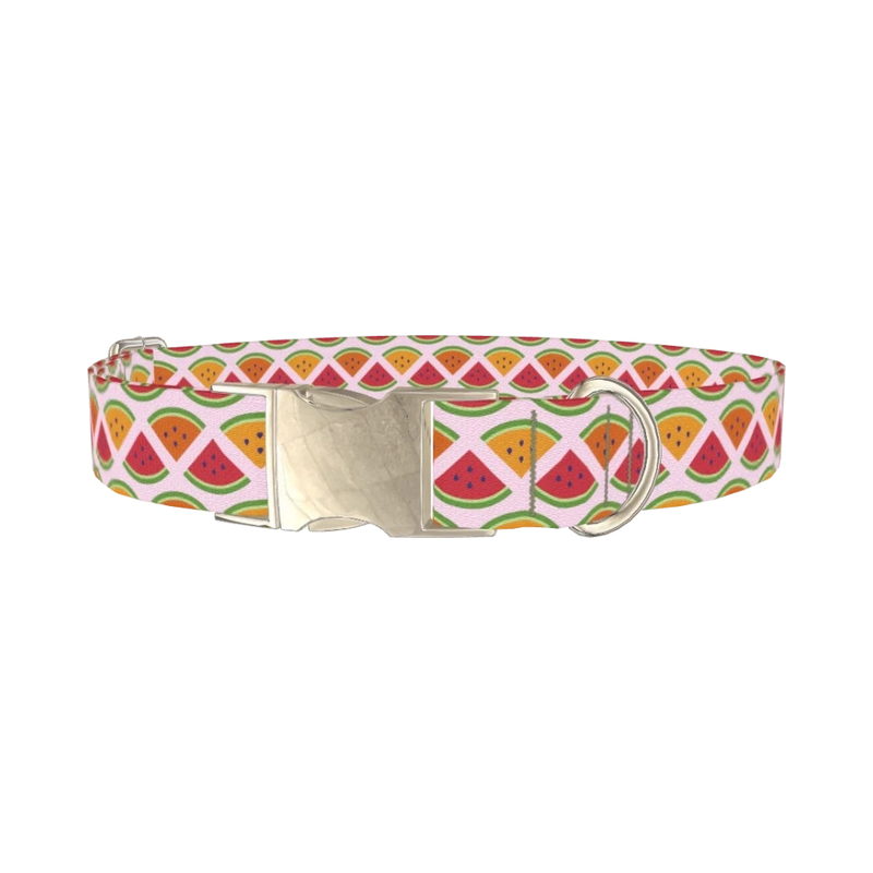 Fruit Slice Dog Collar - metal silver