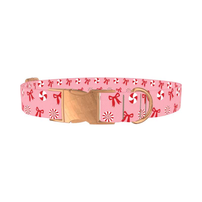 Candy Bow Dog Collar - metal rose gold