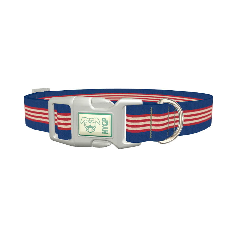 Navy Red Stripe Dog Collar - plastic silver
