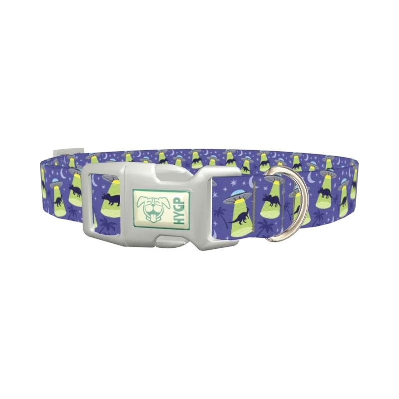 Dinosaur UFO Dog Collar - plastic silver