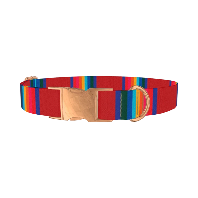 Striped Rainbow Dog Collar - metal rose gold
