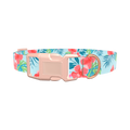 Multi Floral Hibiscus Dog Collar - plastic gold