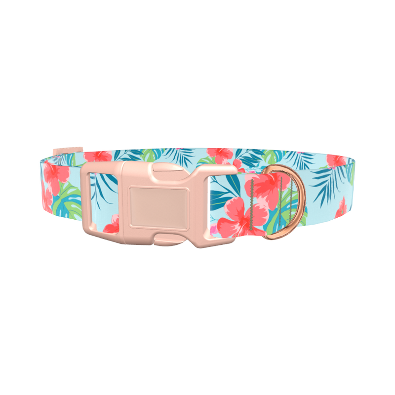 Multi Floral Hibiscus Dog Collar - plastic gold