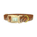 Tiger Stripe Dog Collar - plastic gold