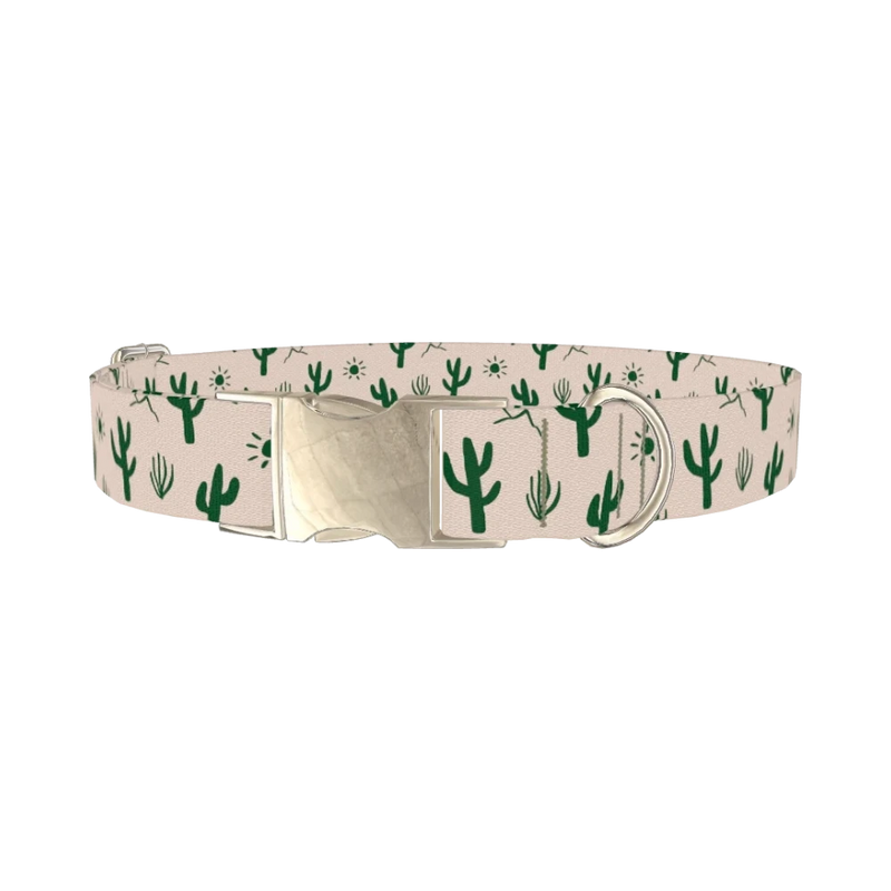 Desert Sun Cactus Dog Collar - metal silver