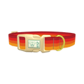 Retro Hexagon Dog Collar - plastic gold