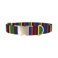 Striped Pattern Dog Collar - metal silver