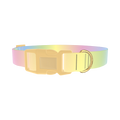 Pastel Gradient Dog Collar - plastic gold