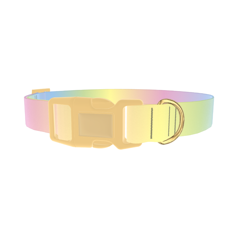 Pastel Gradient Dog Collar - plastic gold