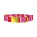Red Pink Striped Dog Collar - metal gold