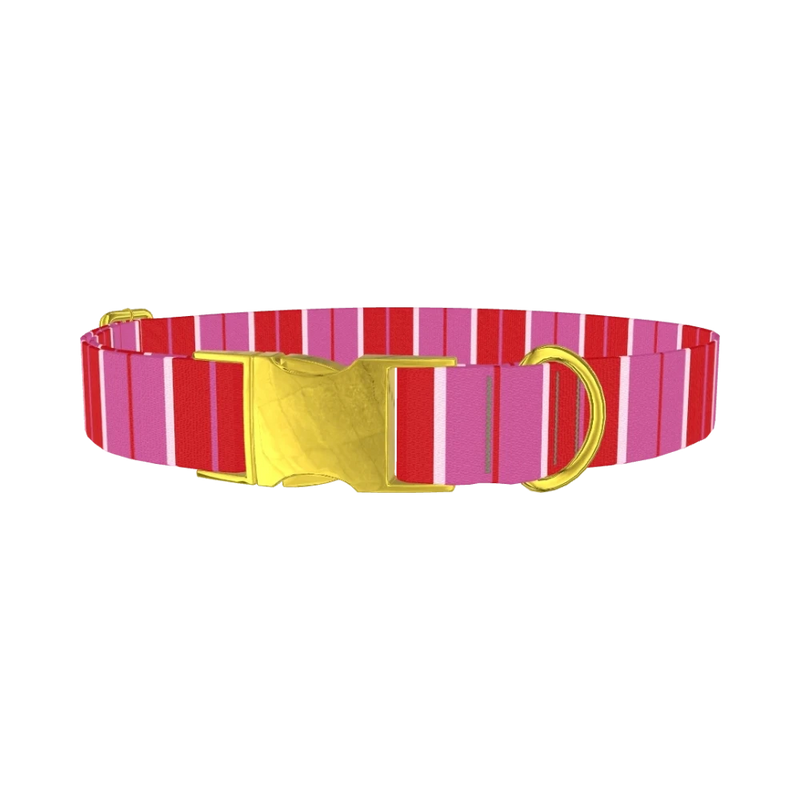 Red Pink Striped Dog Collar - metal gold
