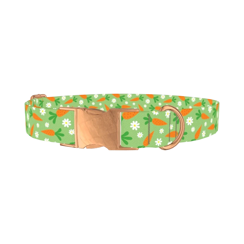 Carrot Floral Dog Collar - metal rose gold