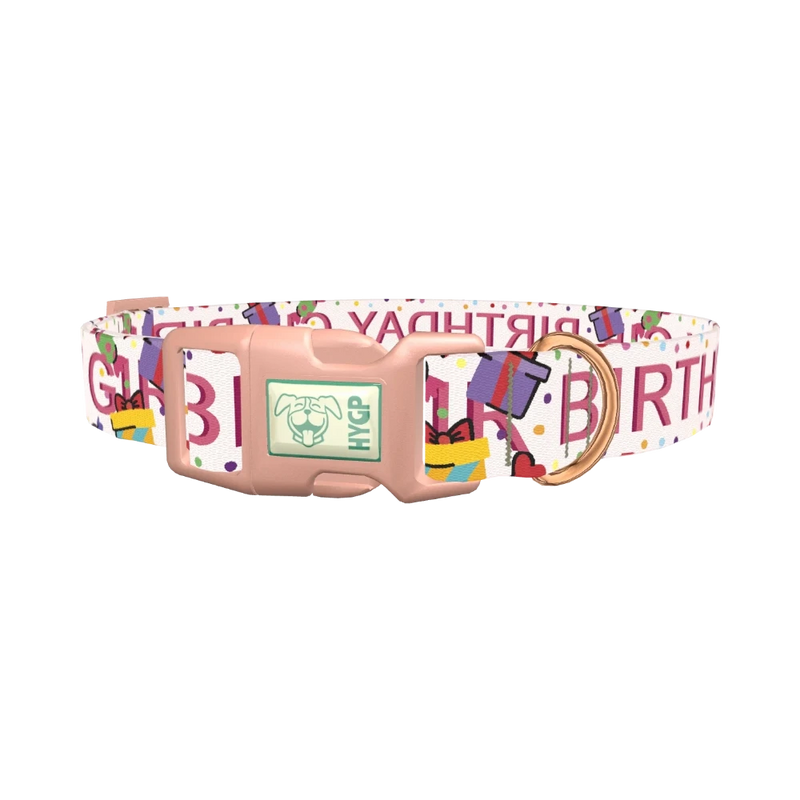 Birthday Celebration Dog Collar - plastic rose gold