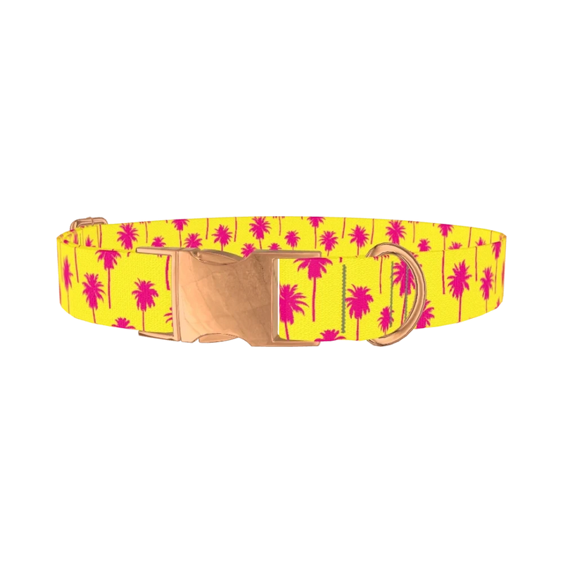 Tropical Palm Tree Dog Collar - metal rose gold