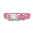 Pink Zebra Stripe Dog Collar - plastic silver