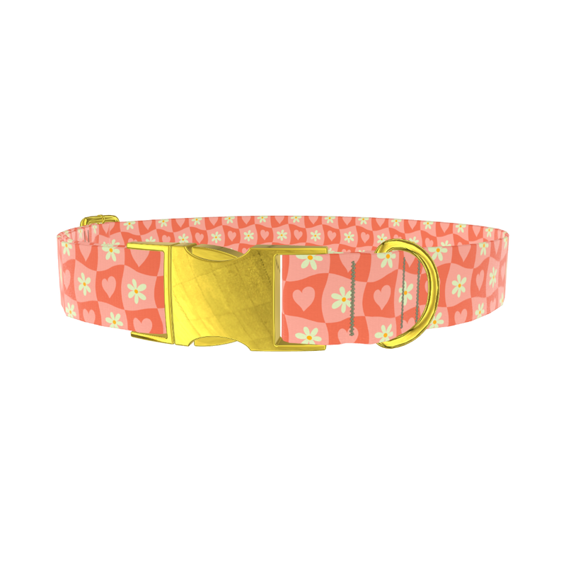 Heart and Daisy Dog Collar - metal gold