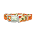 Autumn Pumpkin Dog Collar - plastic silver