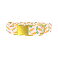 Carrot Garden Dog Collar - metal gold