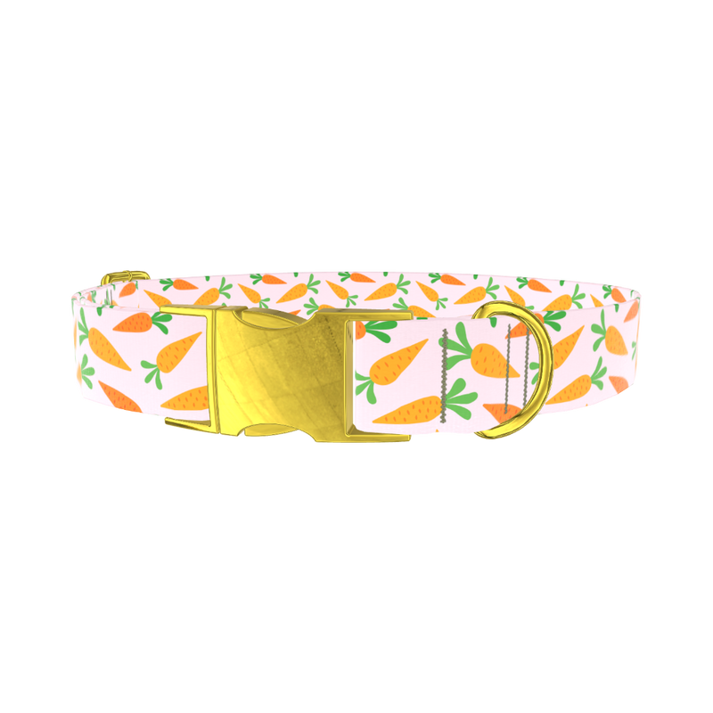 Carrot Garden Dog Collar - metal gold