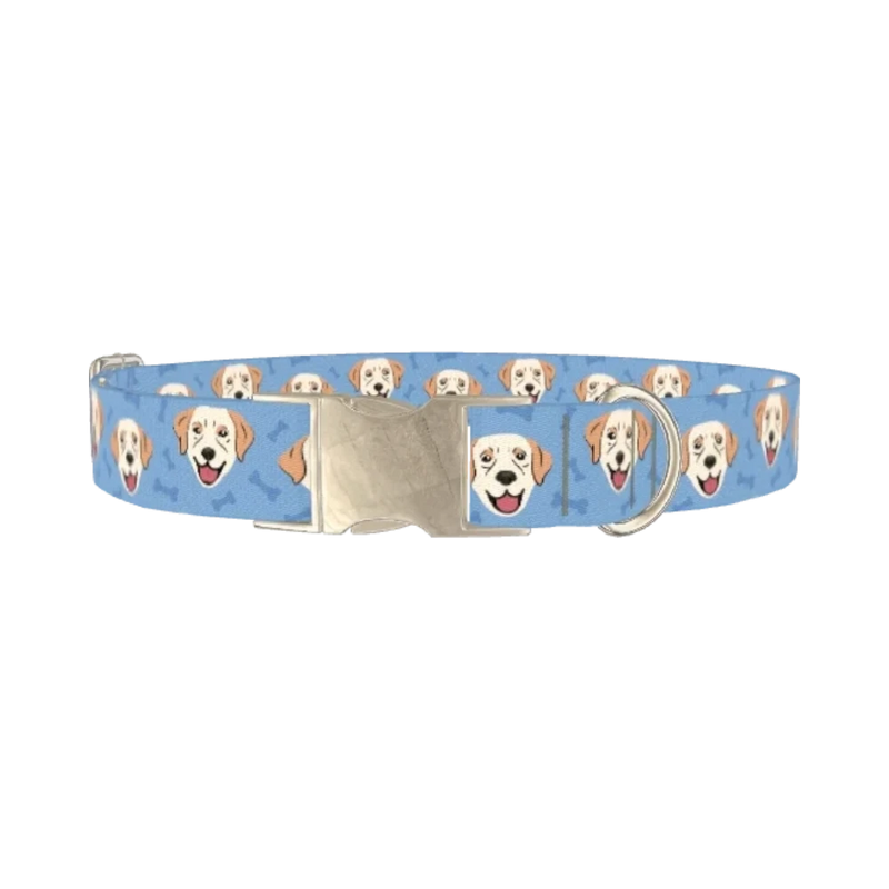 Labrador Dog Collar - metal silver