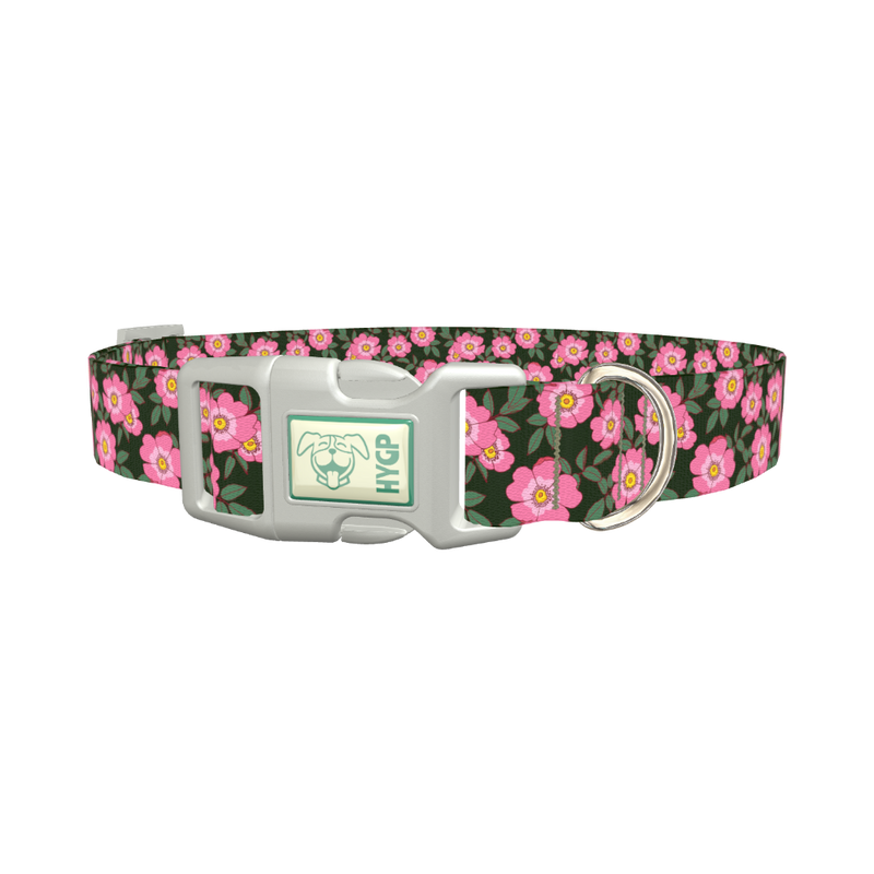 Floral Wild Rose Dog Collar - plastic silver