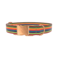 Colorful Honeycomb Dog Collar - metal silver