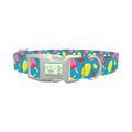 Summer Ice Cream Dog Collar - plastic silver