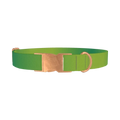 Green Gradient Dog Collar - metal rose gold