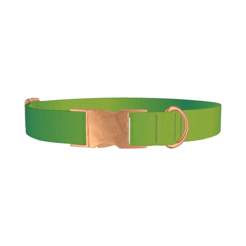 Green Gradient Dog Collar - metal rose gold