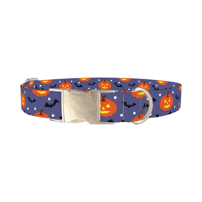 Pumpkin Bat Halloween Dog Collar - metal silver