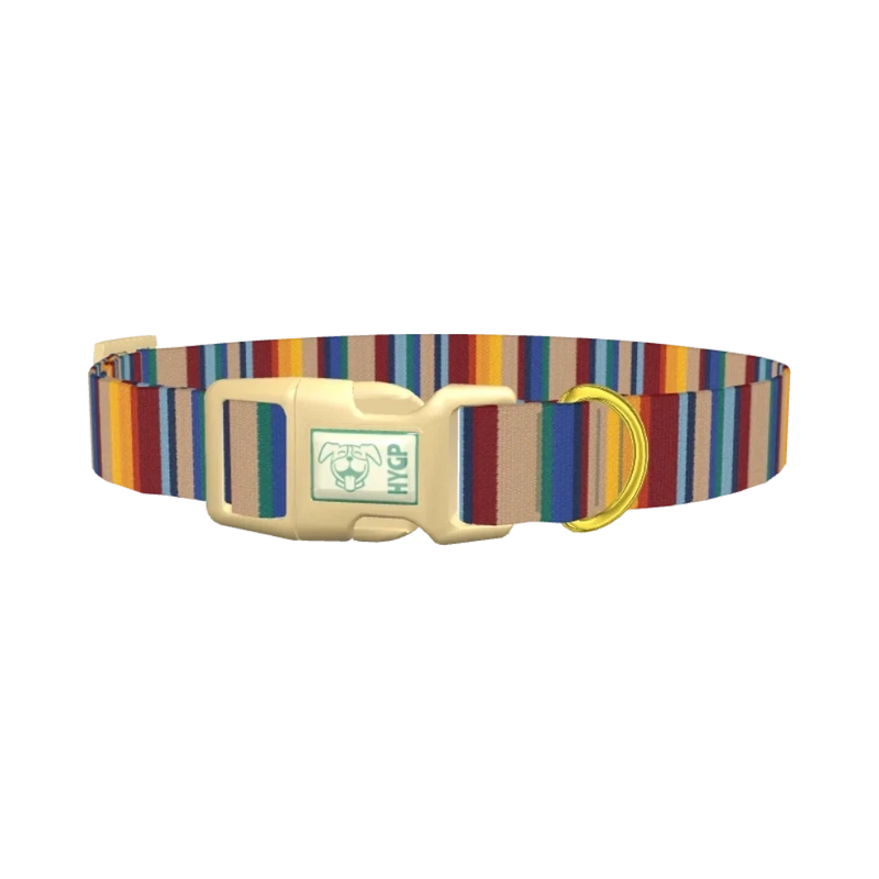 Colorful Striped Dog Collar - plastic gold