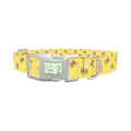 Bee Science Dog Collar - plastic silver
