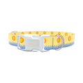 Beach Sun Dog Collar - plastic rose gold
