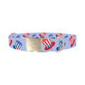 Patriotic Hat Dog Collar - metal silver