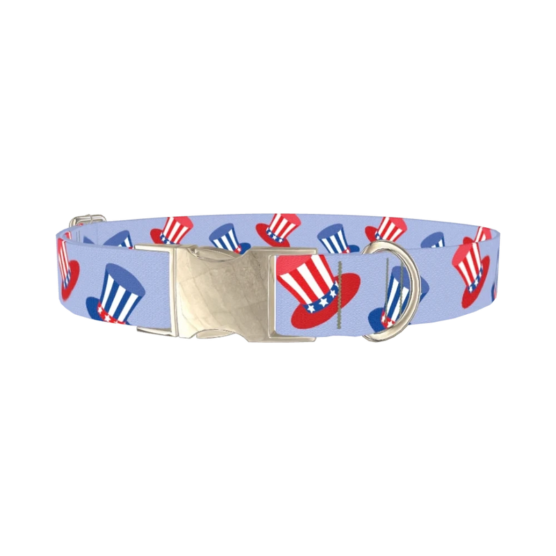 Patriotic Hat Dog Collar - metal silver