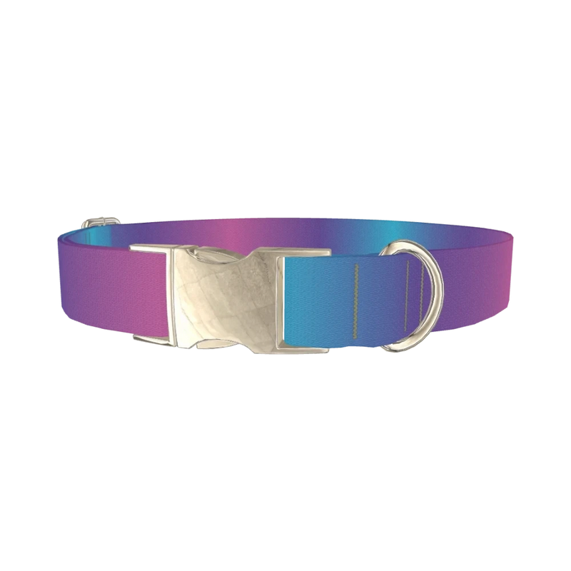 Blue Pink Ombre Dog Collar - metal silver