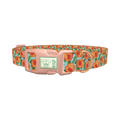 Peach Fruit Dog Collar - plastic rose gold