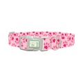 Heart Paw Valentine Dog Collar - plastic silver