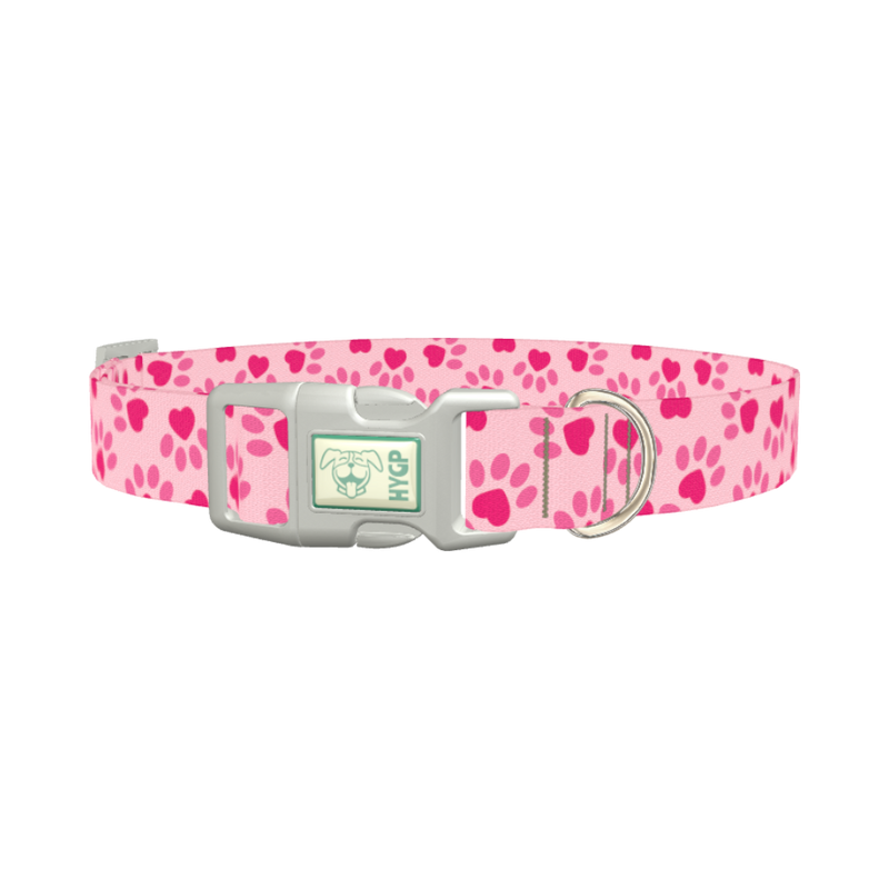 Heart Paw Valentine Dog Collar - plastic silver