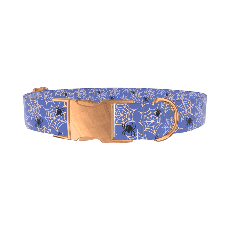 Spider Web Halloween Dog Collar - metal silver