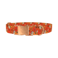 Autumn Harvest Pumpkin Dog Collar - metal rose gold