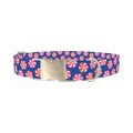 Blue Peppermint Swirl Dog Collar - metal silver